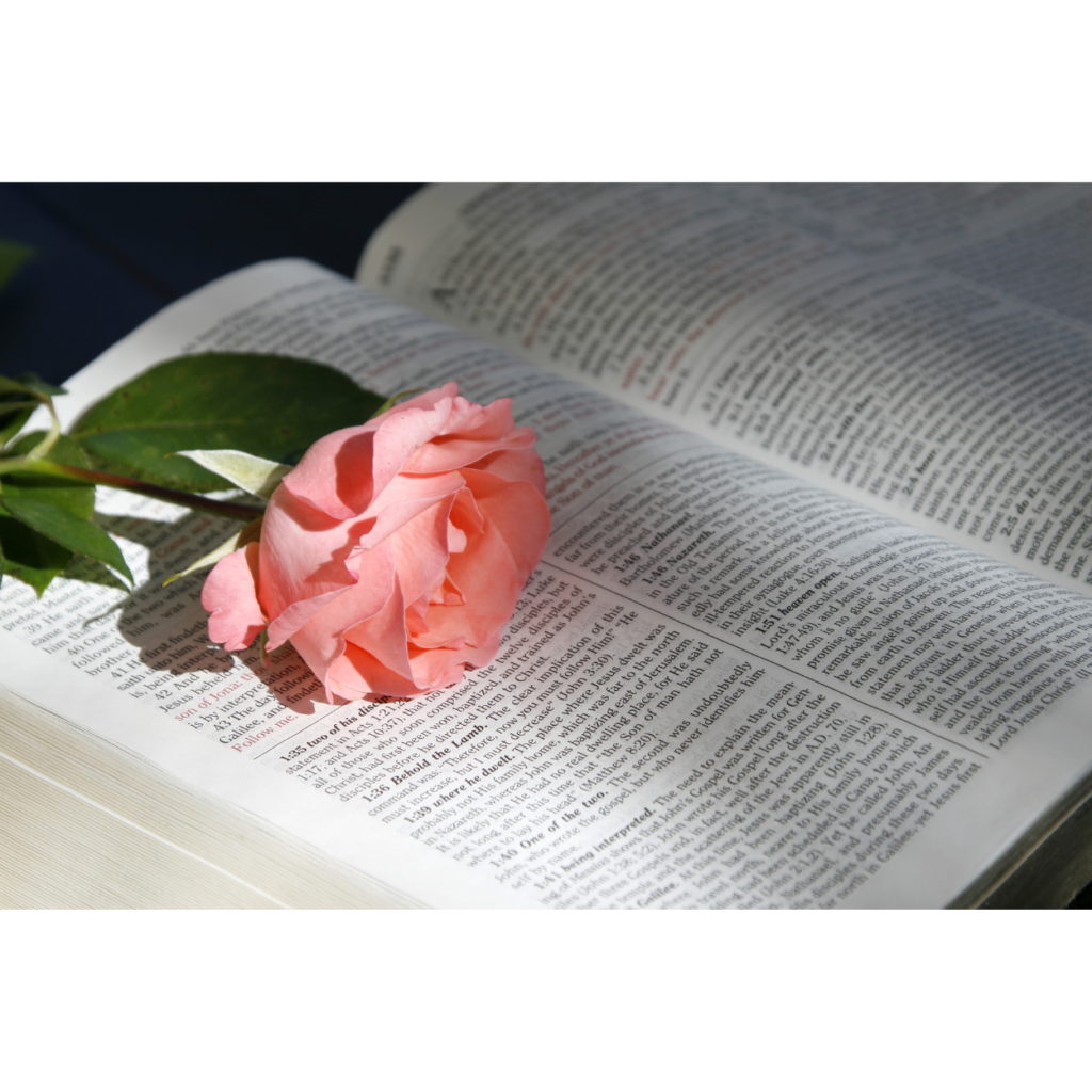 Identidad en Cristo verdad bíblica sobre quién eres